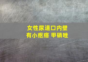 女性尿道口内壁有小疙瘩 甲硝唑